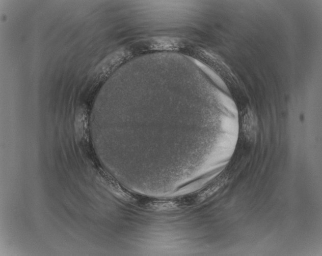 X0000062650322200601181816