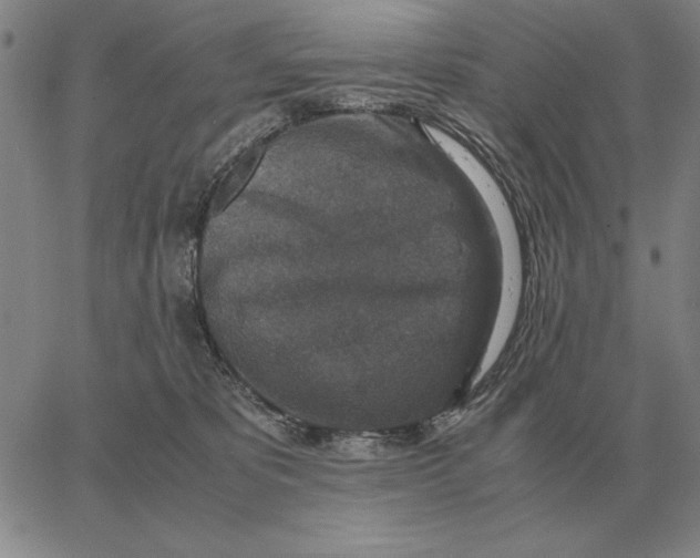 X0000062650325200601181816