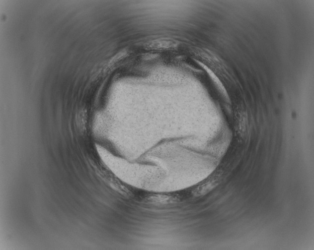 X0000062650326200601181816