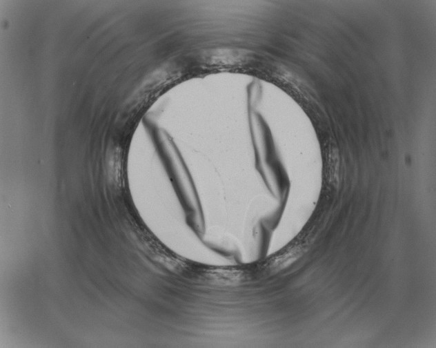 X0000062650328200601181816