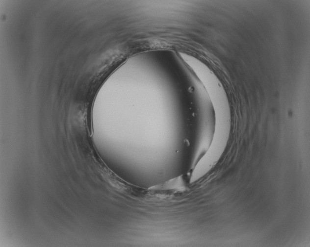 X0000062650329200601181816