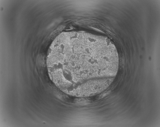 X0000062650331200601181816