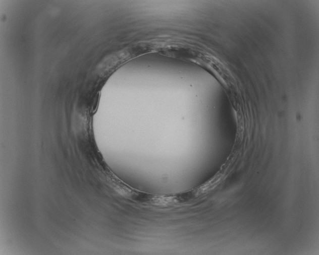 X0000062650333200601181816