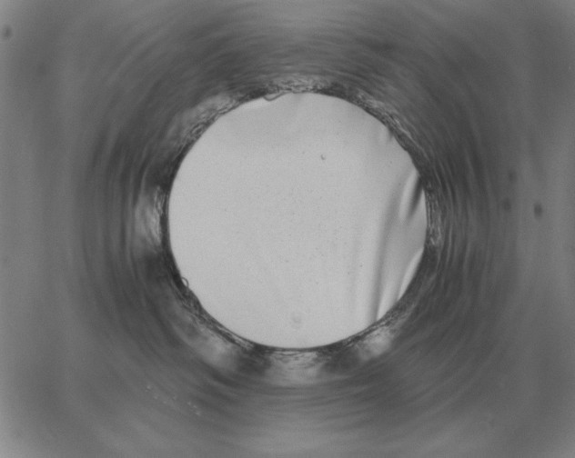 X0000062650334200601181816