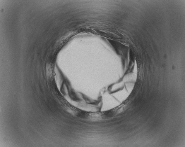 X0000062650335200601181816