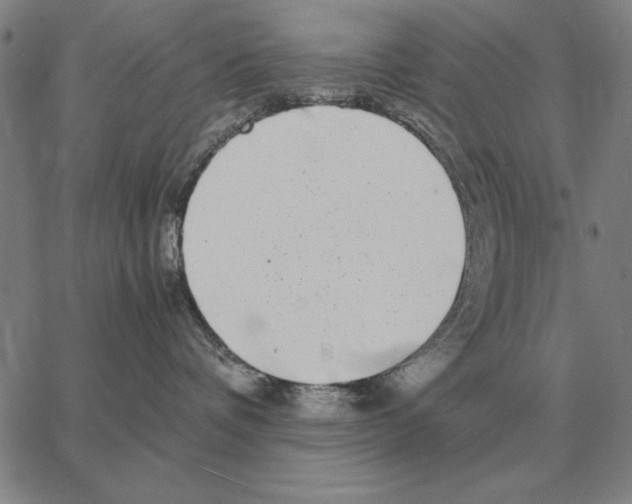 X0000062650336200601181816