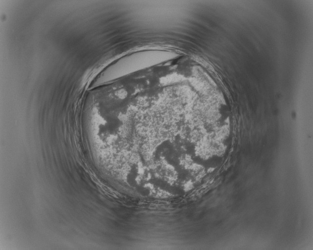 X0000062650337200601181815