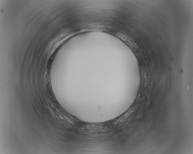 X0000062650338200601181815