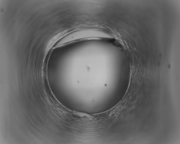 X0000062650340200601181815