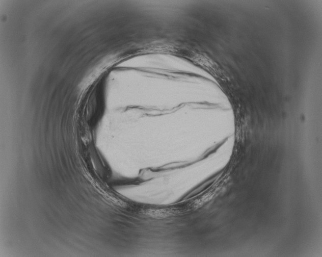 X0000062650341200601181815