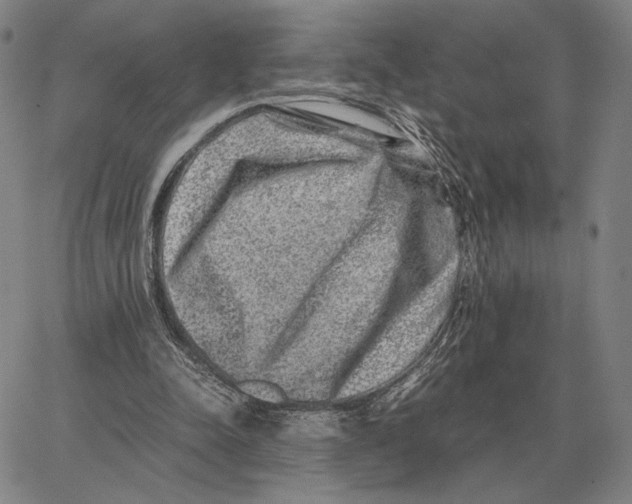 X0000062650342200601181815