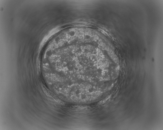 X0000062650343200601181815