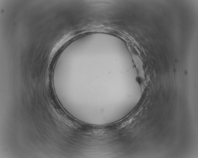 X0000062650344200601181815