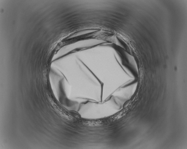 X0000062650345200601181815