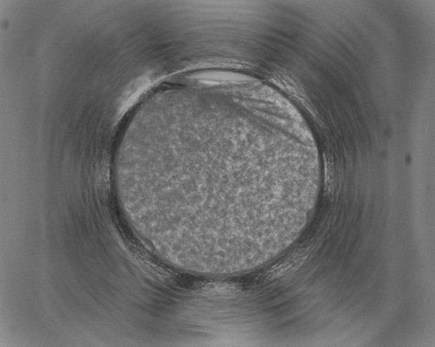 X0000062650348200601181815