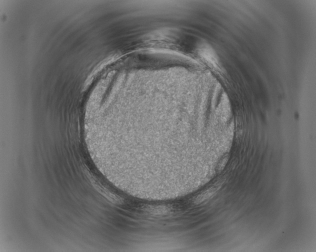 X0000062650349200601181815