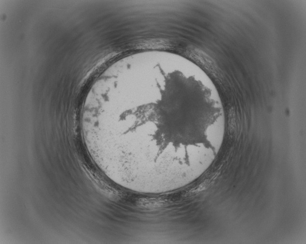 X0000062650351200601181815