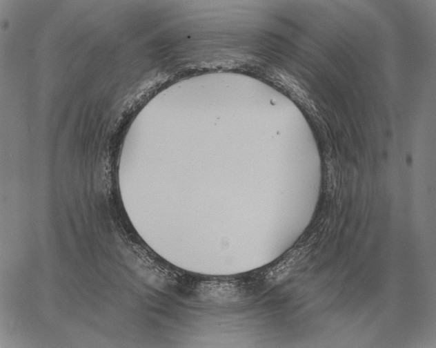 X0000062650354200601181815