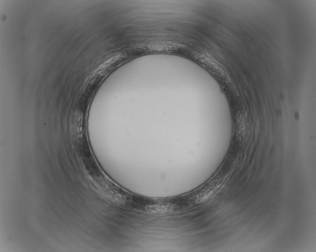 X0000062650356200601181815