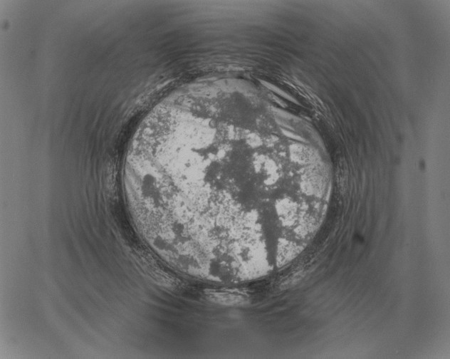 X0000062650359200601181815