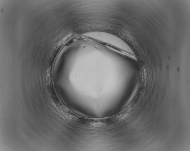 X0000062650360200601181815