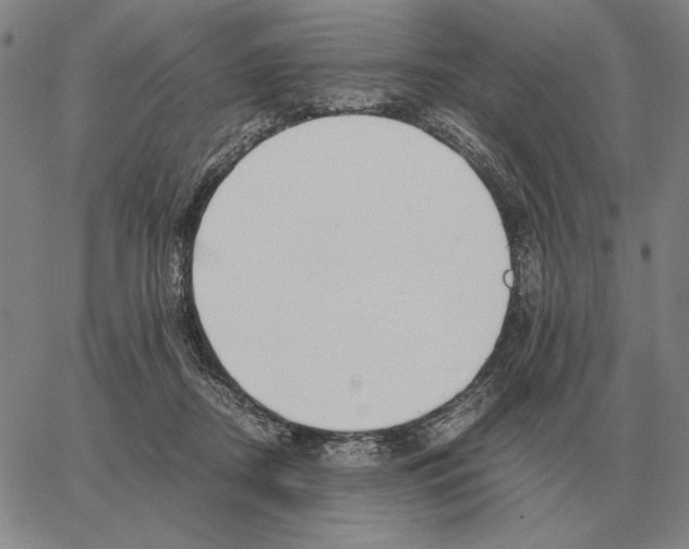 X0000062650362200601181815