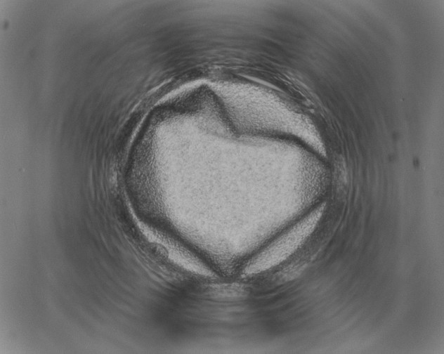 X0000062650363200601181816