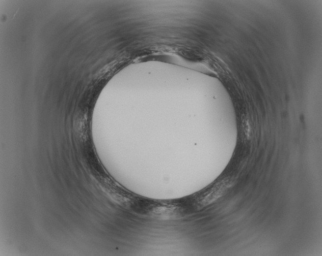 X0000062650364200601181816