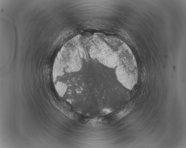 X0000062650366200601181816