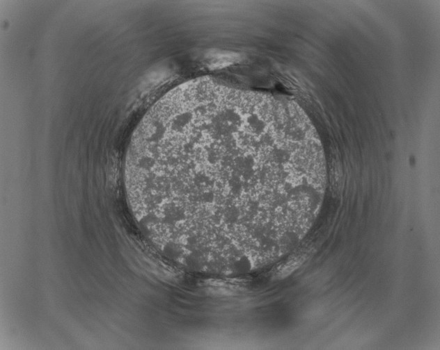 X0000062650367200601181816