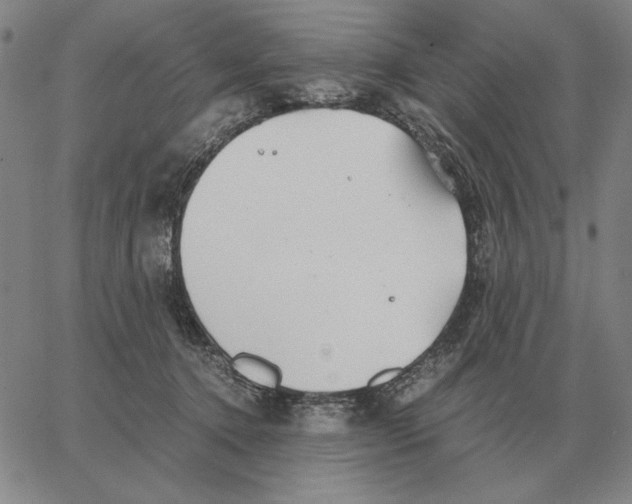 X0000062650368200601181816