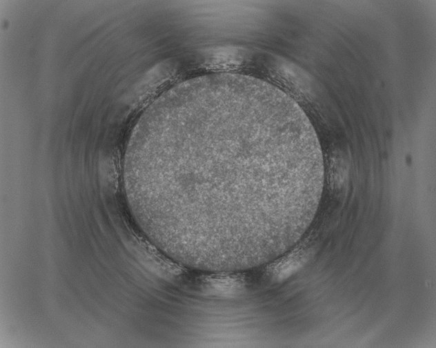 X0000062650370200601181816