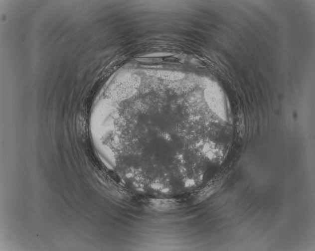 X0000062650371200601181816