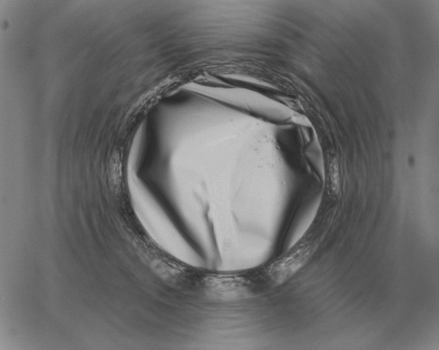 X0000062650372200601181816