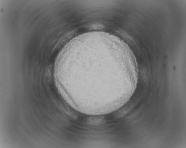 X0000062650373200601181816