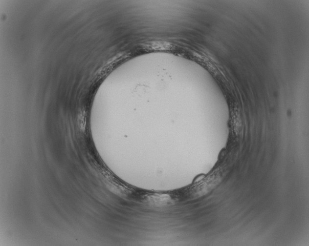 X0000062650374200601181816