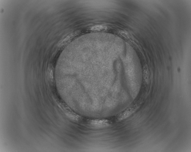 X0000062650375200601181816