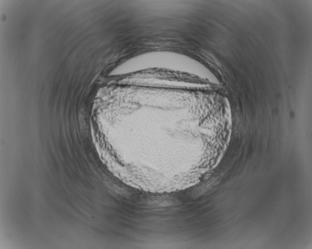 X0000062650377200601181816