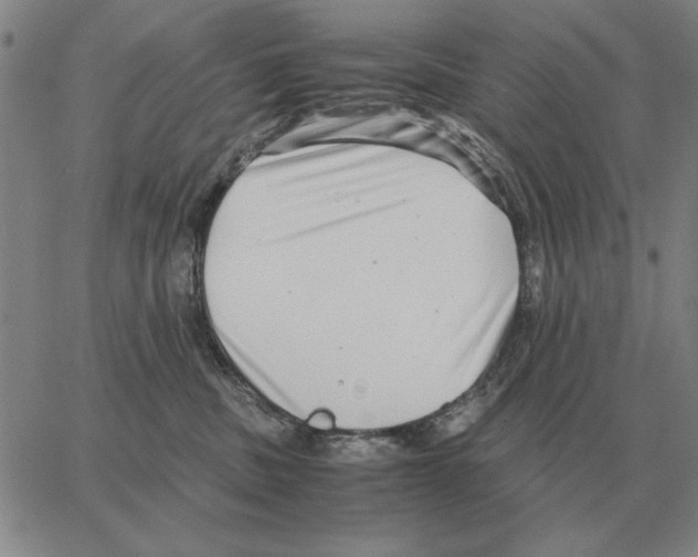 X0000062650379200601181816