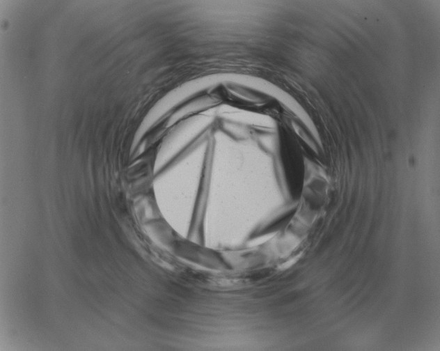 X0000062650380200601181816