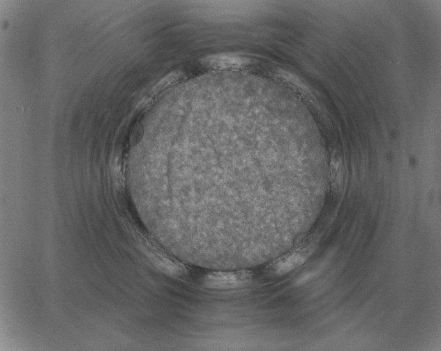 X0000062650381200601181816