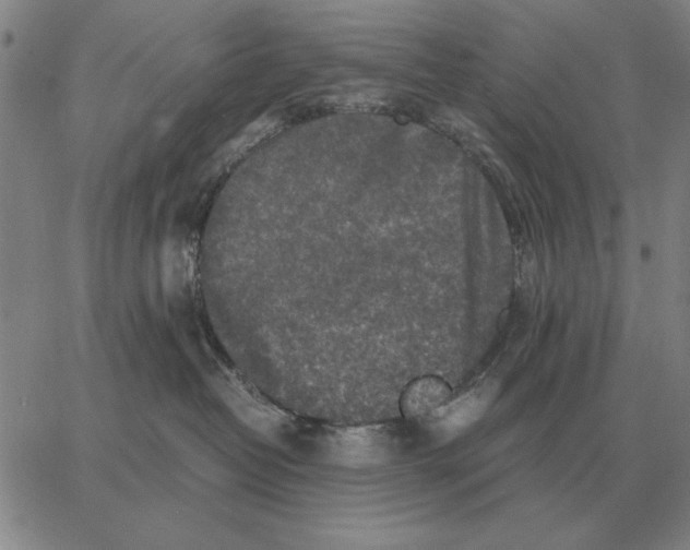 X0000062650382200601181816