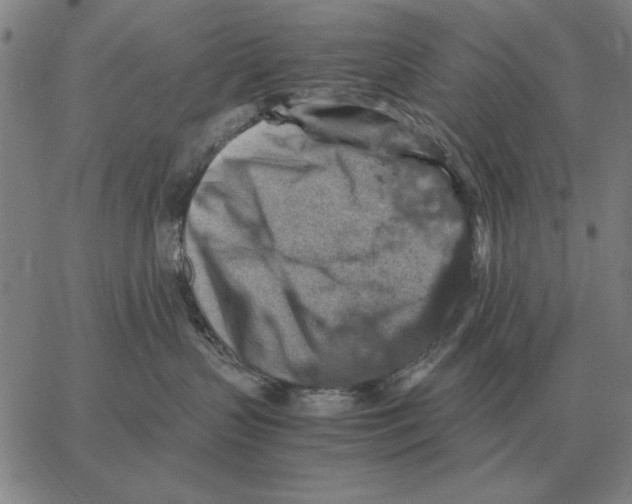 X0000062650383200601181816