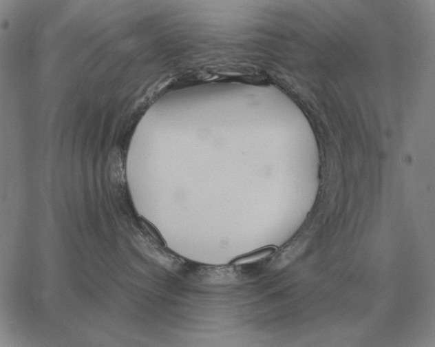 X0000062650384200601181816