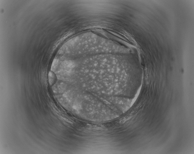 X0000062650386200601181815