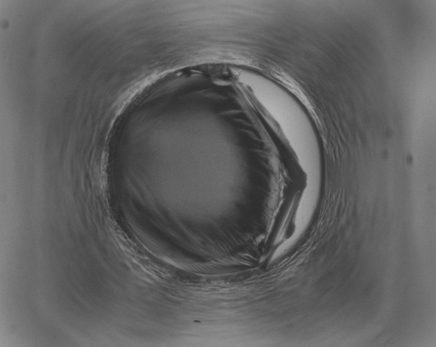 X0000062650387200601181815