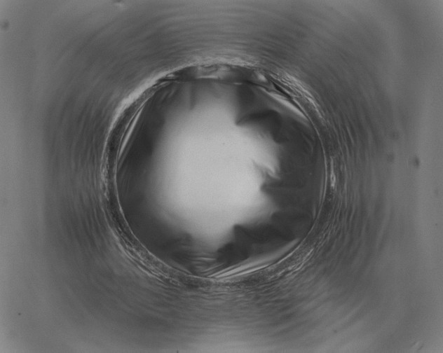 X0000062650388200601181815