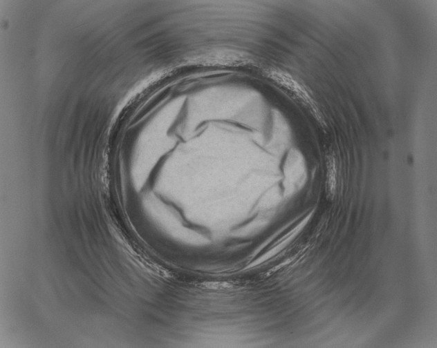 X0000062650392200601181815