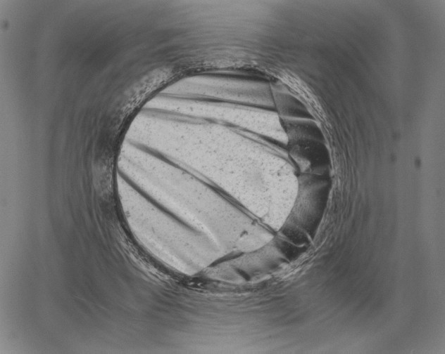 X0000062650393200601181815