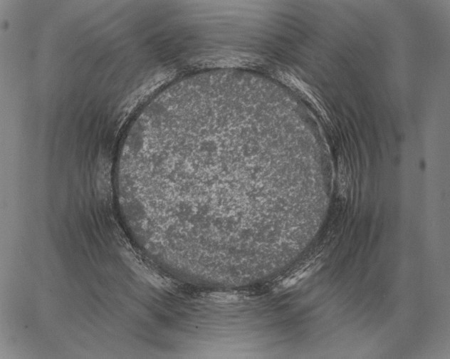 X0000062650394200601181815